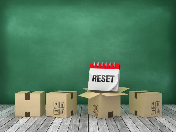 same day moving services