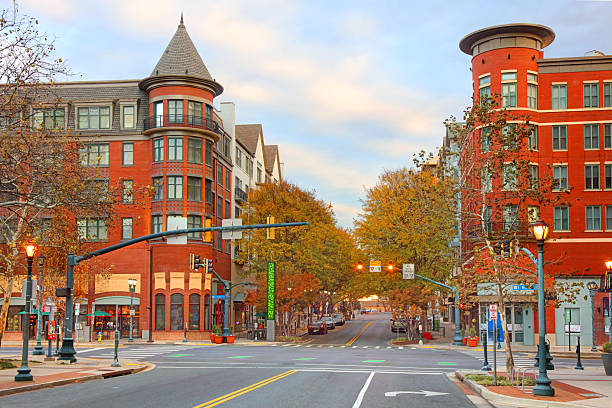 rockville moving company