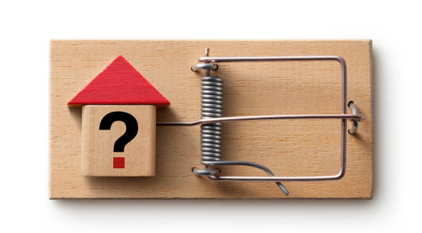 questions to ask a moving company