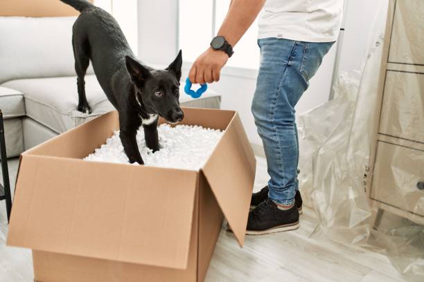 help pets adjust after a move