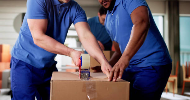 hire professional packers