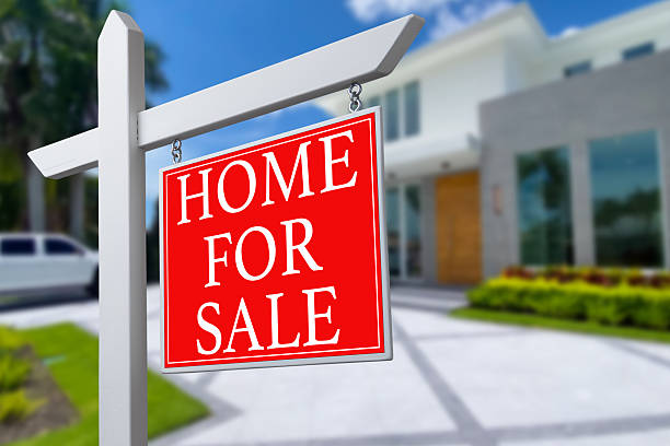 best movers in College Park MD