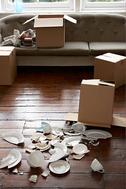 items damaged during a move